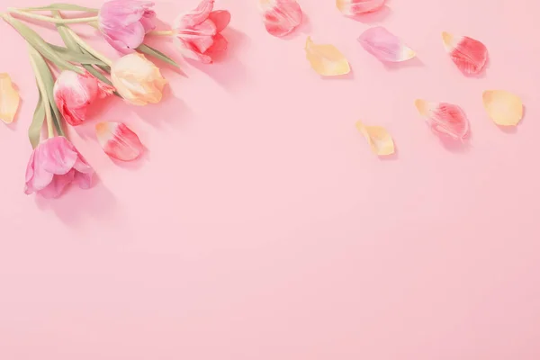 Fleurs Printemps Sur Fond Rose — Photo