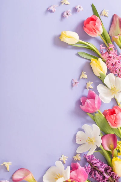 Flores Multicolores Primavera Sobre Fondo Púrpura — Foto de Stock