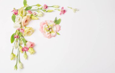 Paskalya arkaplanı, küçük yumurtalar ve beyaz üzerine pastel çiçekler.