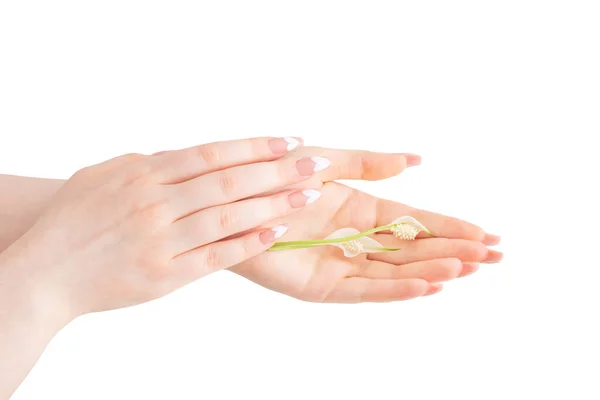 Γυναικεία Χέρια Όμορφα Μακριά Νύχια Λουλούδια Απομονωμένα Λευκό Φόντο — Φωτογραφία Αρχείου