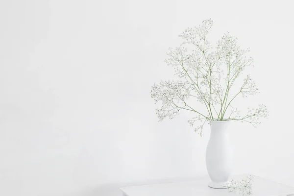 Gypsophila Jarrón Blanco Sobre Estante Madera Viejo Sobre Fondo Blanco — Foto de Stock