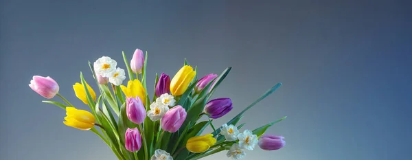 Hermosas Flores Primavera Sobre Fondo Azul —  Fotos de Stock