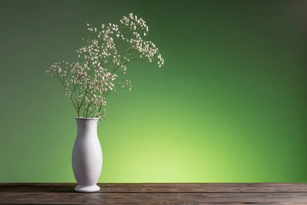 Flores Gypsophila Jarrón Sobre Fondo Verde — Foto de Stock