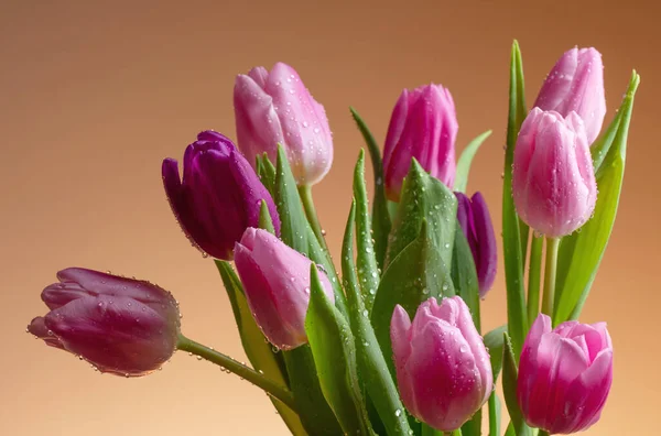 Tulipanes Rosados Con Gotas Agua Sobre Fondo Marrón — Foto de Stock