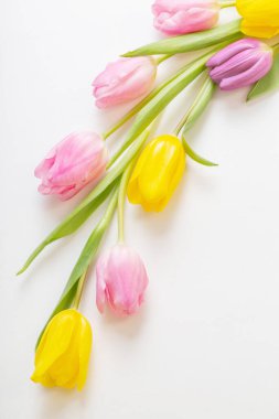 beyaz arkaplanda bahar çiçekleri