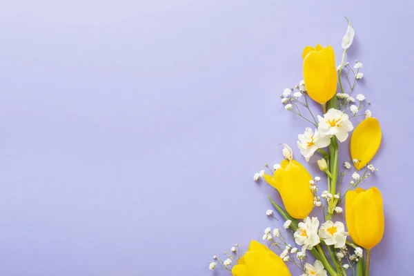 Yellow Tulips Purple Paper Background — Stock Photo, Image