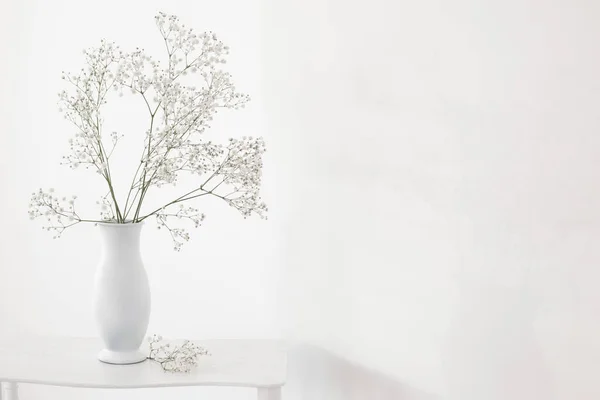 Gypsophila Jarrón Blanco Sobre Estante Madera Viejo Sobre Fondo Blanco —  Fotos de Stock