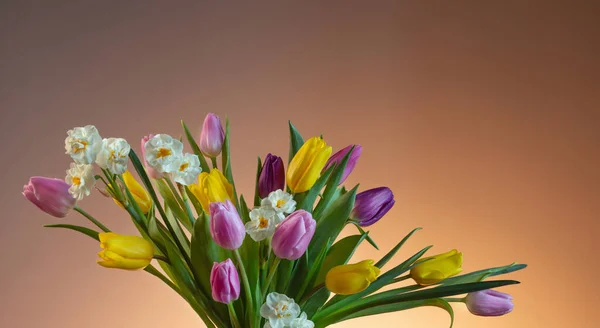 Hermosas Flores Primavera Sobre Fondo Naranja — Foto de Stock