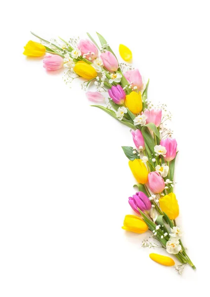 Spring Flowers Isolated White Background — Stock Photo, Image