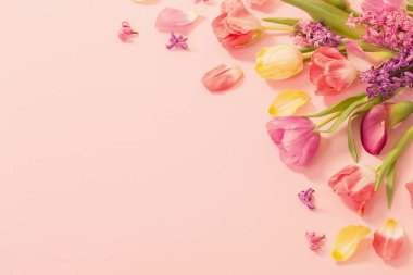 Pembe arka planda bahar çiçekleri