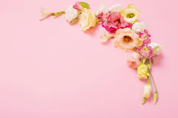 Frühling Schöne Blumen Auf Rosa Hintergrund — Stockfoto