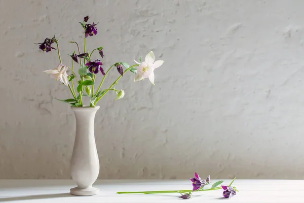 背景古い白壁の上に花瓶の花 — ストック写真