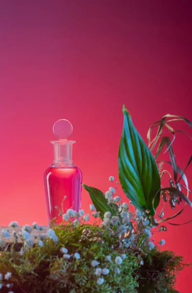 Toverdrank Glazen Fles Met Planten Bloemen Roze Achtergrond — Stockfoto