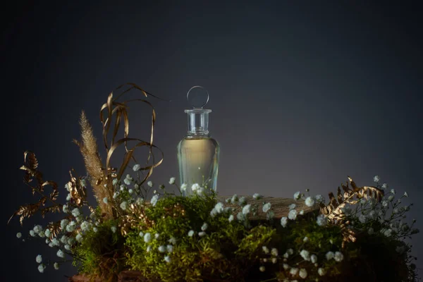 玻璃瓶中的神奇药水 带有蓝色背景的植物和花朵 — 图库照片