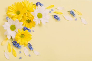 Sarı kağıtta sarı ve beyaz kasımpatı