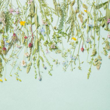 kağıt arkaplanda farklı yabani çiçekler