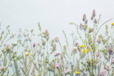 kağıt arkaplanda farklı yabani çiçekler