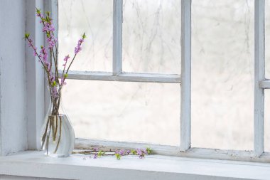 Vintage pencere eşiğinde vazodaki Daphne Çiçekleri