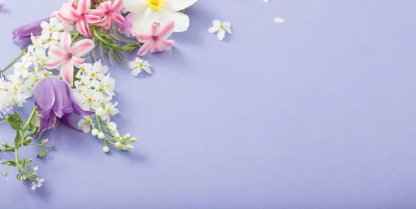 Schöne Frühlingsblumen Auf Papier Hintergrund — Stockfoto