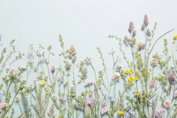 Різні Дикі Квіти Паперовому Фоні — стокове фото