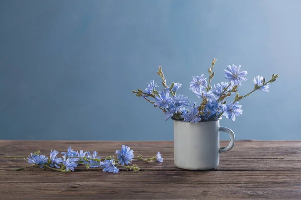 青い背景の古いヴィンテージカップのチコリの花 — ストック写真