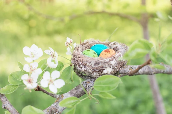 Uova Pasqua Nido All Aperto — Foto Stock