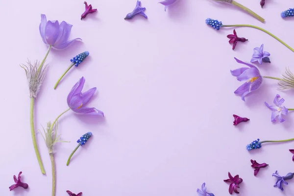Tavaszi Virágok Papír Alapon — Stock Fotó