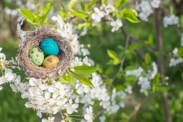 屋外の巣でイースターの卵 — ストック写真