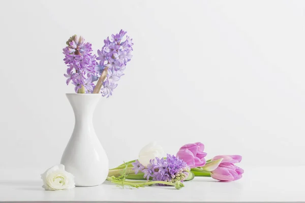 白い背景の上に花瓶のヒヤシンス — ストック写真