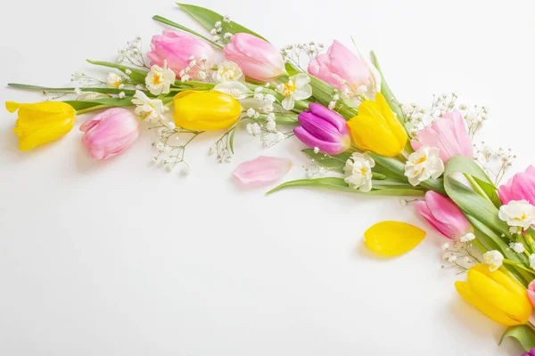 Wiosenne Kwiaty Białym Tle — Zdjęcie stockowe