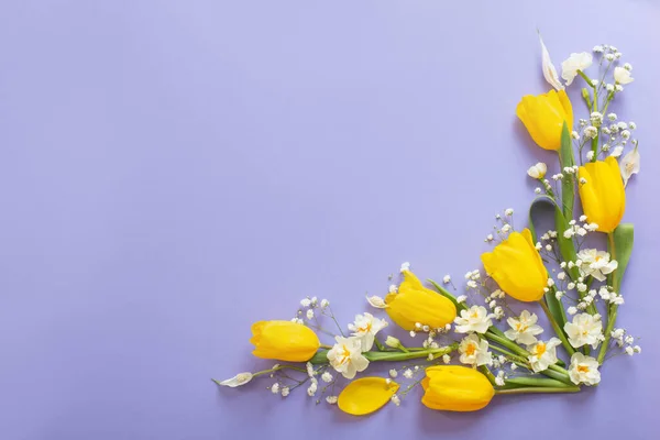 Gele Tulpen Paarse Papieren Achtergrond — Stockfoto