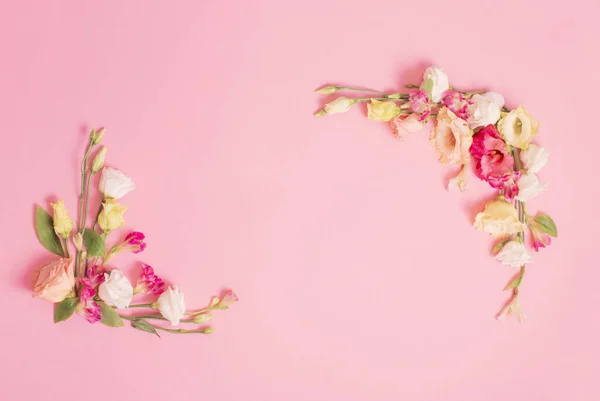 Primavera Belas Flores Fundo Rosa — Fotografia de Stock