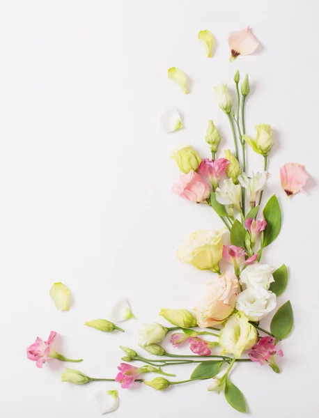 Tavasz Szép Virágok Fehér Háttér — Stock Fotó