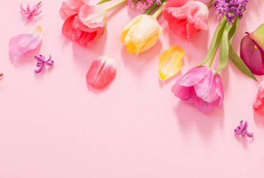 Pembe arka planda bahar çiçekleri