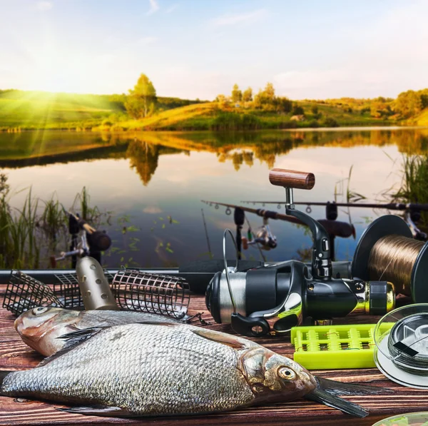 Fishing tackle and caught fish — Stock Photo © doroshin 49462911