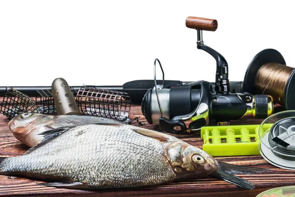 Fishing tackle and caught fish — Stock Image Fishing tackle and caught fish Royalty Free Stock Images