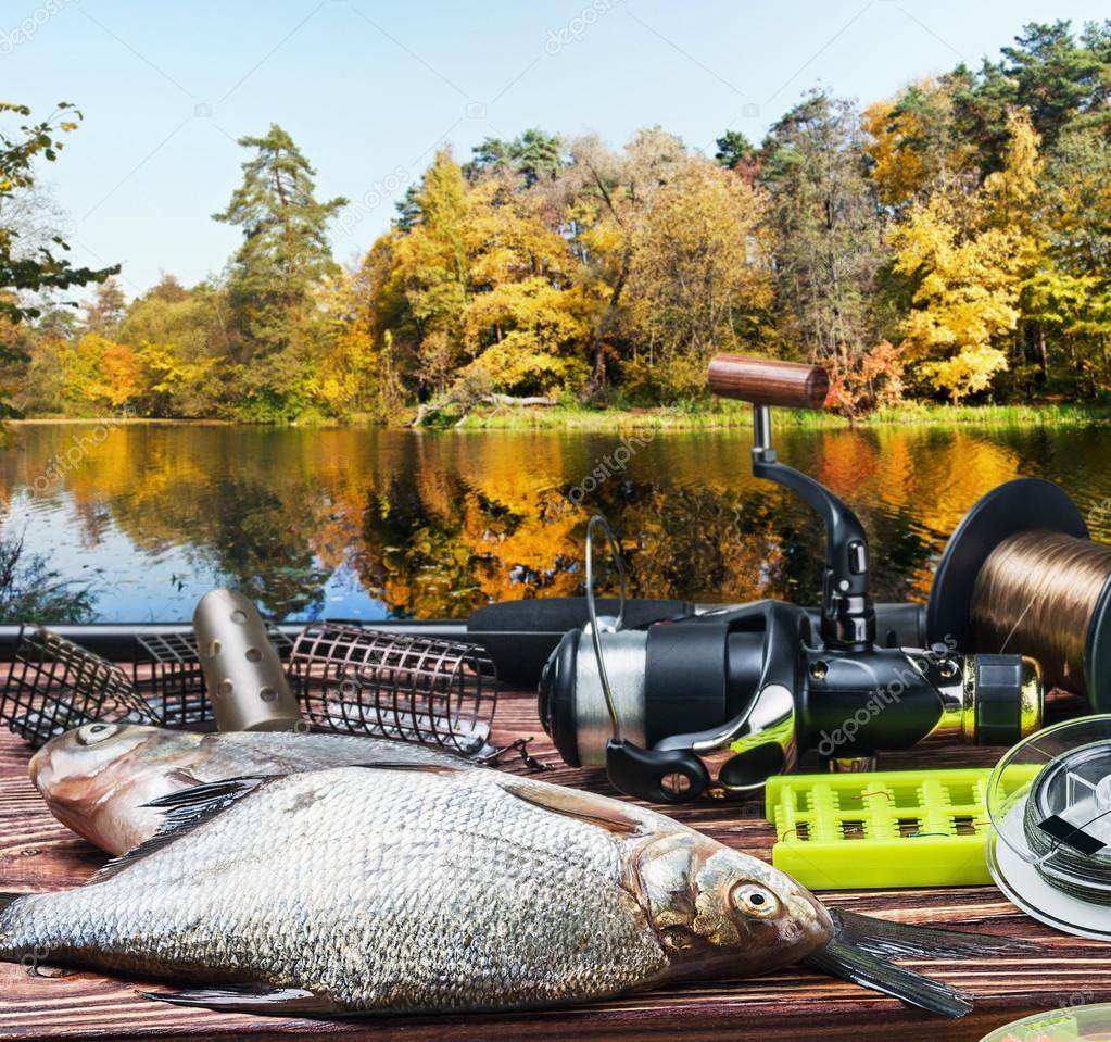 Fishing tackle and caught fish — Stock Photo © doroshin 49462911