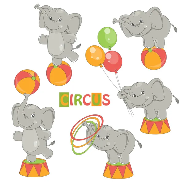 Coleção de elefante de circo bonito — Vetor de Stock