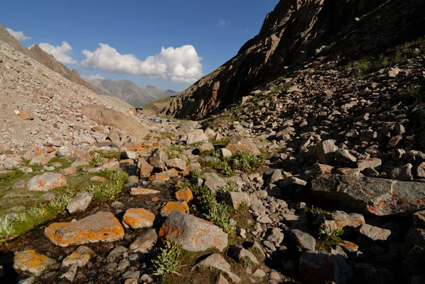 Camp on the moraine — Stock Photo, Image