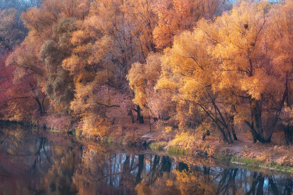 Natursköna Höstlandskap Med Färgglad Natur Och Reflektion Vattnet Floden — Stockfoto