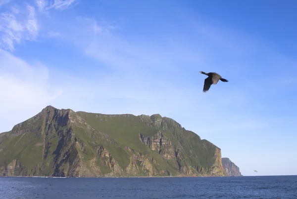 Karşı kıyı kayalar ve okyanus 2 kuş — Stok fotoğraf