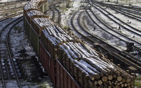 Tri des wagons de marchandises sur le chemin de fer 4 — Photo