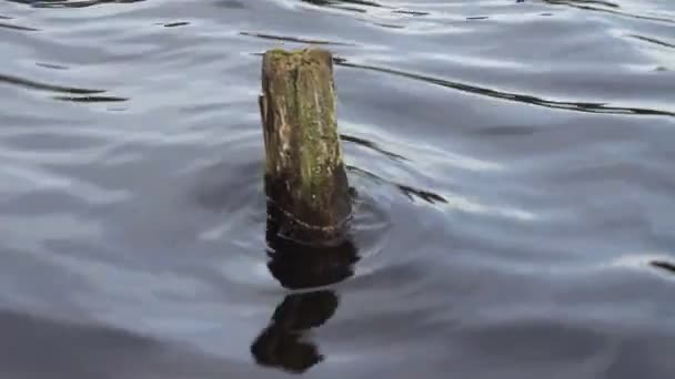 Jezero zádrhel — Stock video