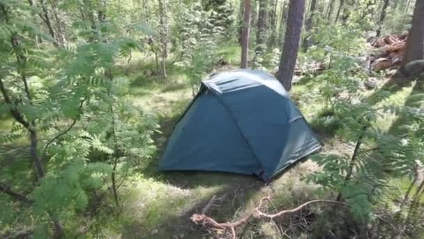 Tält i skogen — Stockvideo