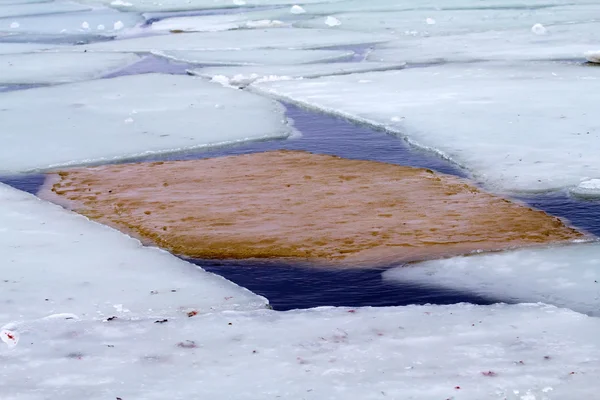 Морской лед — стоковое фото