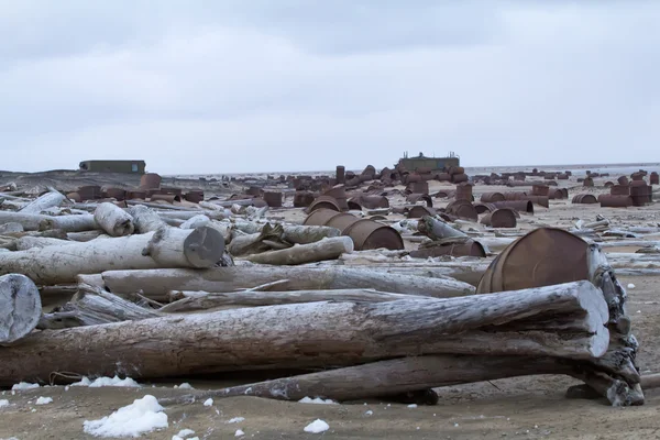 Барабаны на арктическом побережье — стоковое фото