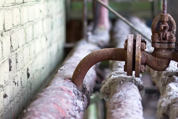 The abandon factory on production of cement — Stock Photo, Image