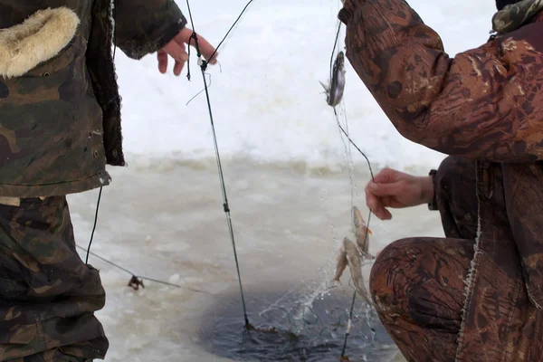 Winter marine net — Stock Photo, Image