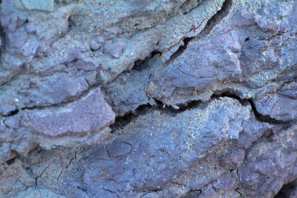 Кембрийская глина — стоковое фото