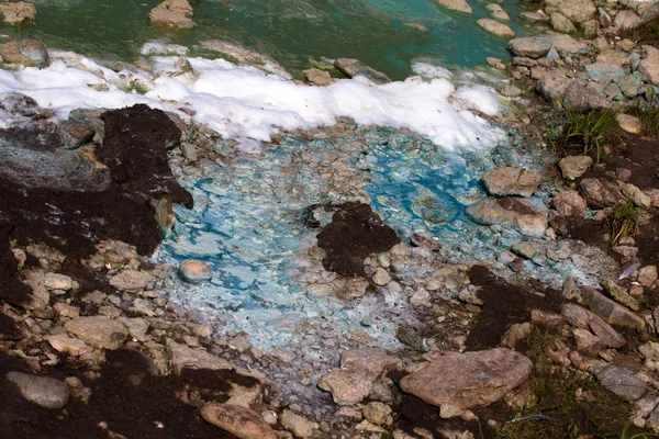 藻类污染的水 （绿色浮渣) — 图库照片